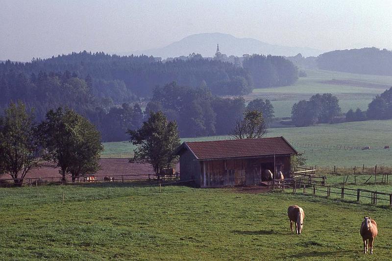WT 4300 390-25 Austria.jpg